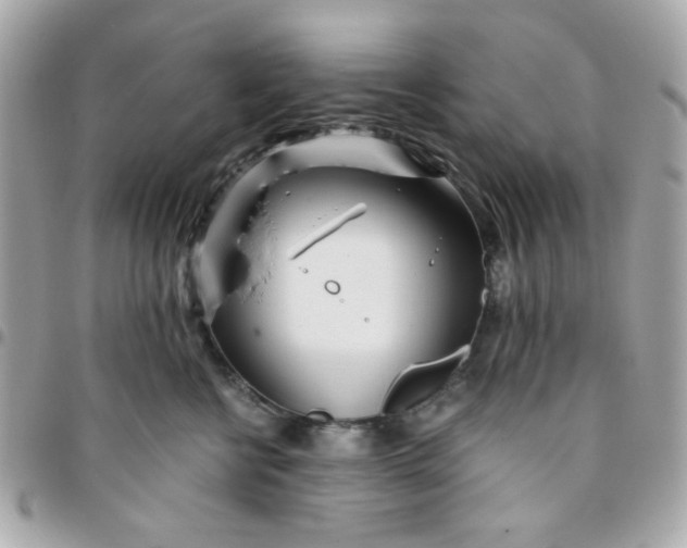 X0000096200570200802011302