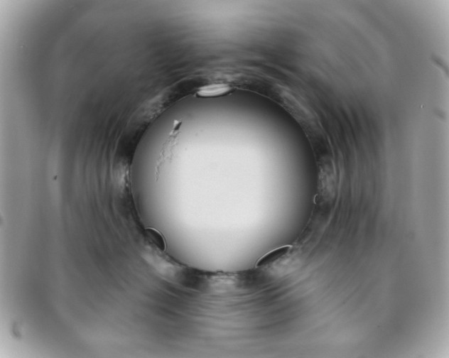 X0000096200574200802011302