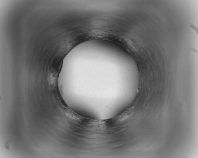 X0000096200576200802011302