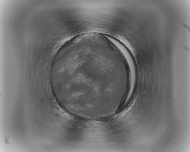 X0000096200577200802011301