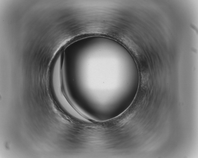 X0000096200580200802011301