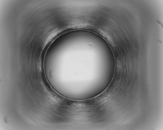 X0000096200582200802011301