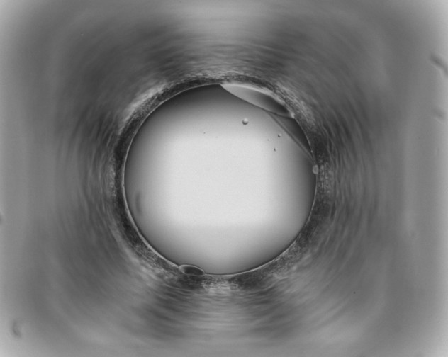 X0000096200587200802011301