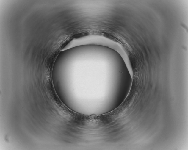 X0000096200593200802011301