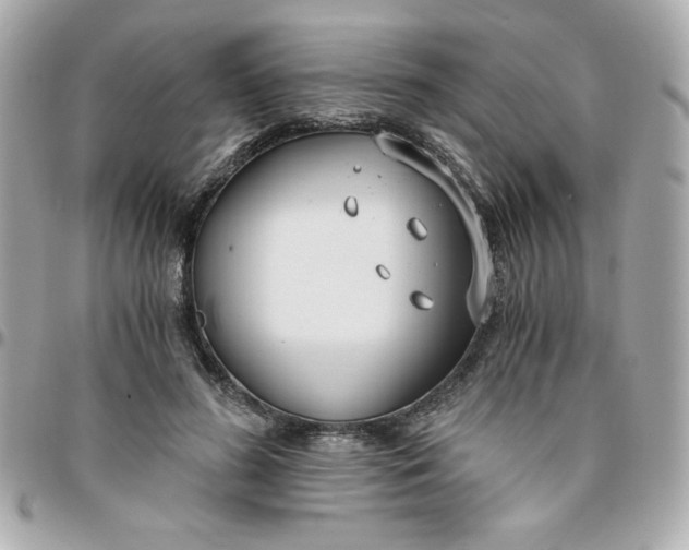 X0000096200596200802011301