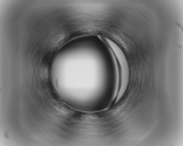 X0000096200597200802011301