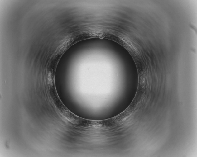 X0000096200598200802011301