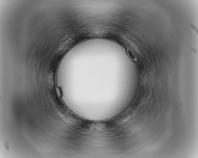 X0000096200599200802011301