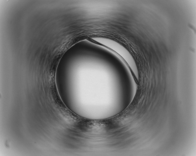 X0000096200601200802011301