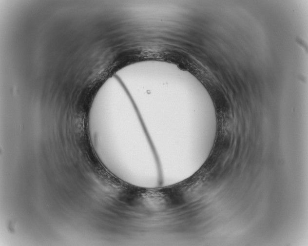 X0000096200603200802011301