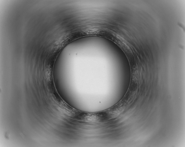 X0000096200604200802011301