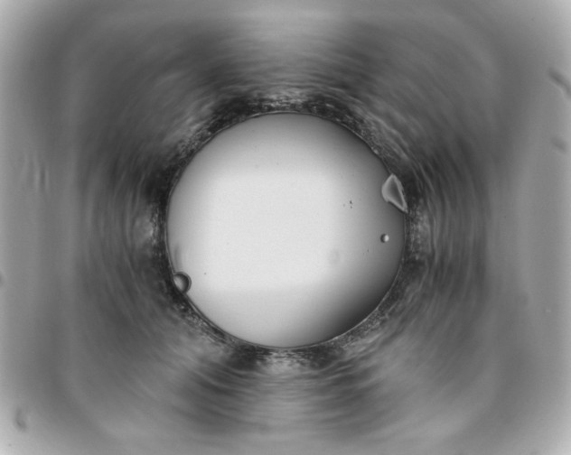 X0000096200608200802011301