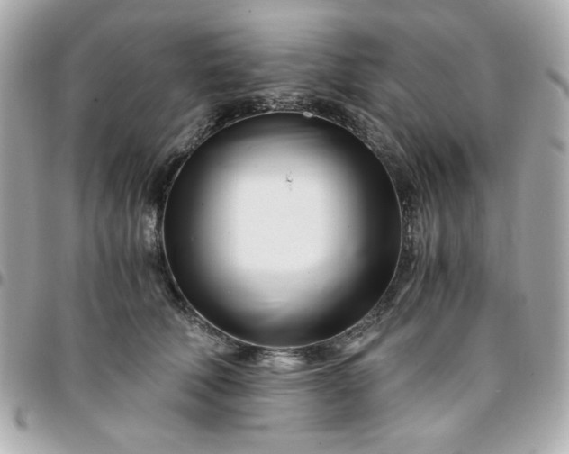 X0000096200610200802011301