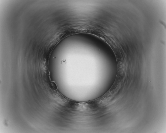 X0000096200612200802011301