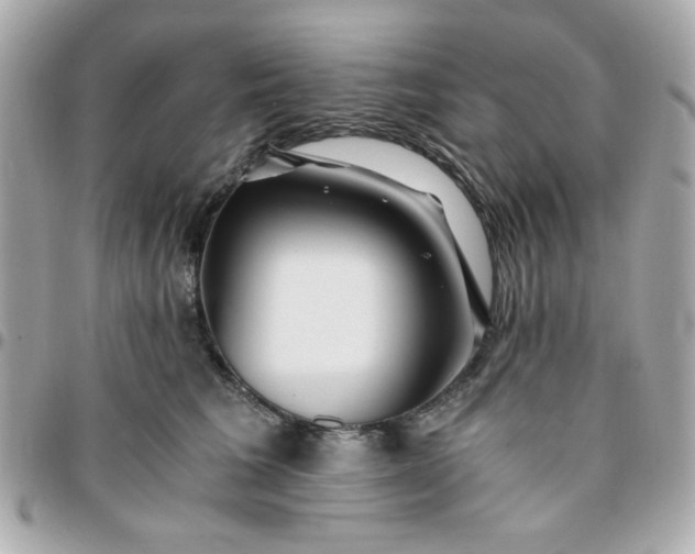 X0000096200613200802011301