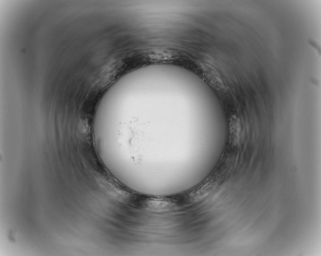 X0000096200614200802011301