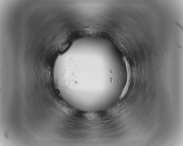 X0000096200615200802011301