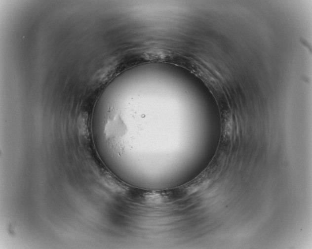 X0000096200616200802011301