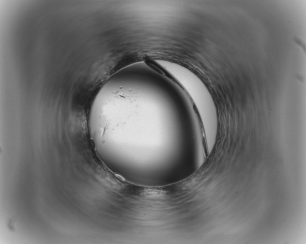 X0000096200617200802011301