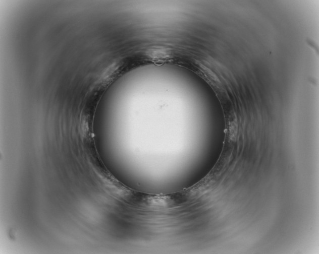 X0000096200618200802011301