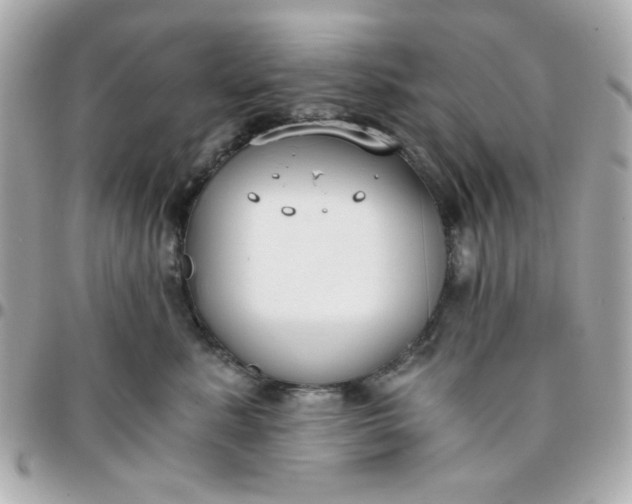 X0000096200619200802011301