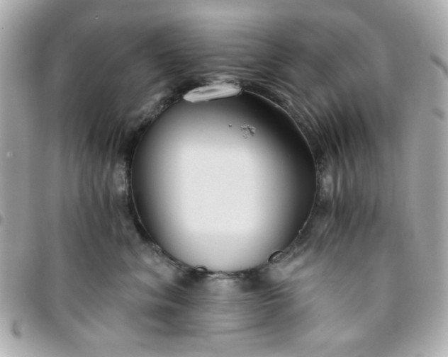 X0000096200620200802011301