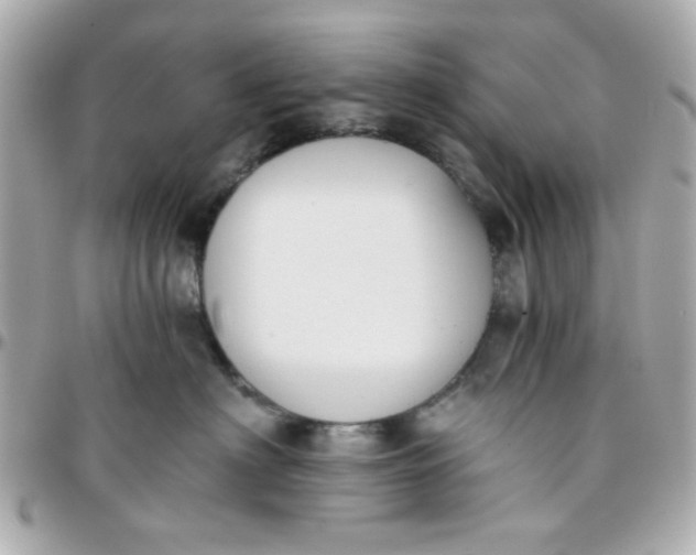 X0000096200622200802011301