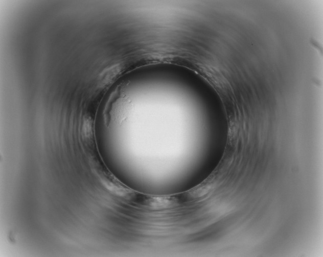 X0000096200623200802011301