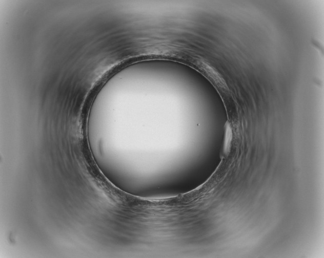 X0000096200628200802011300