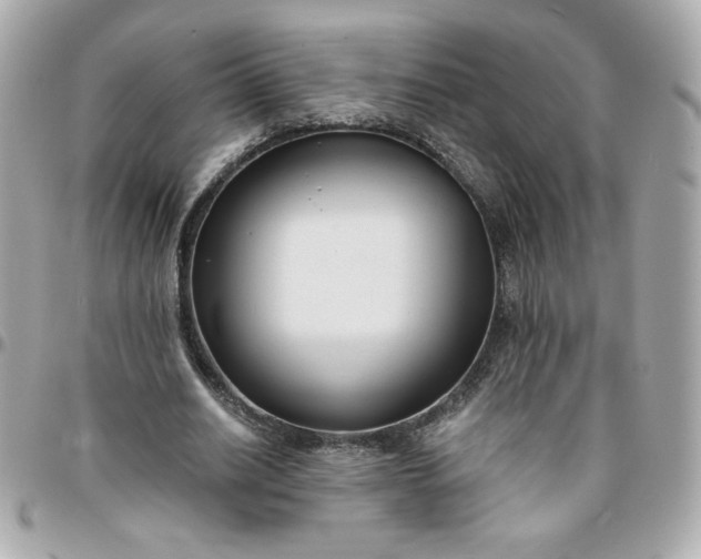 X0000096200630200802011300