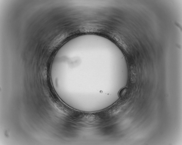 X0000096200631200802011300