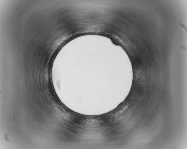 X0000096200632200802011300