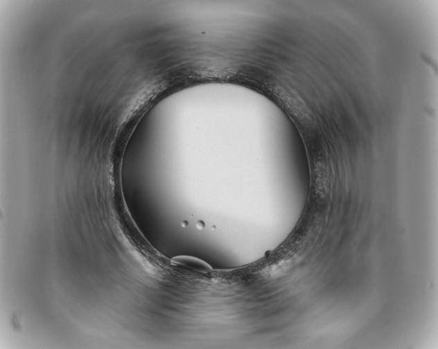 X0000096200634200802011300