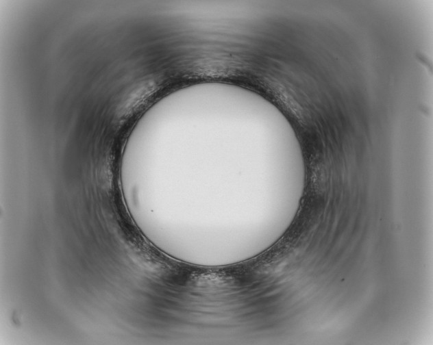 X0000096200635200802011300