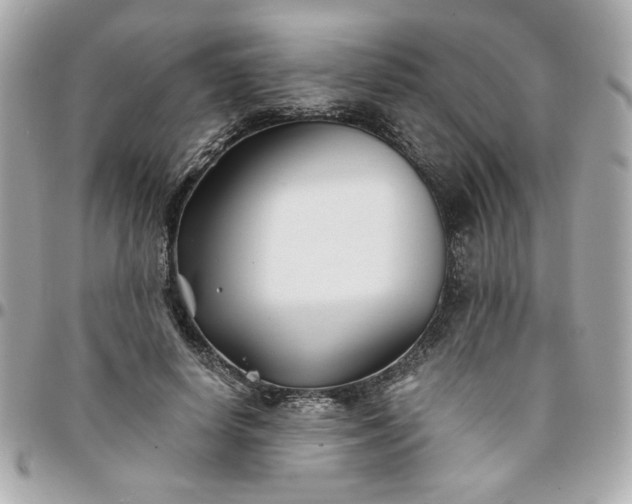 X0000096200642200802011300