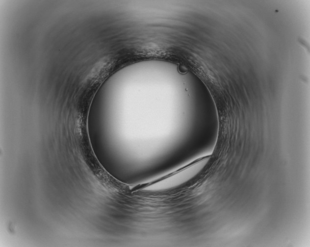 X0000096200643200802011300