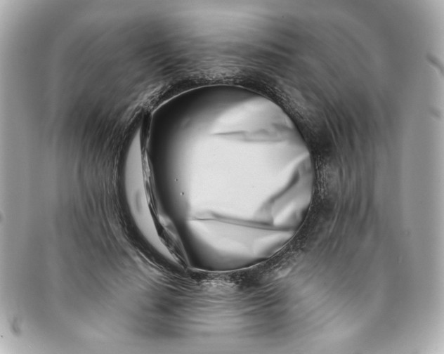 X0000096200644200802011300