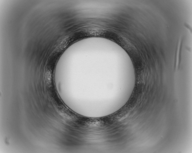 X0000096200646200802011300