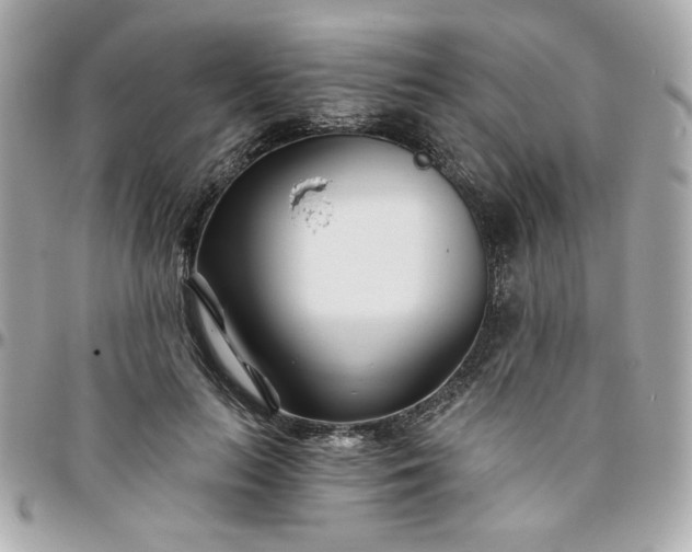 X0000096200647200802011300