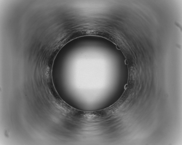 X0000096200650200802011301