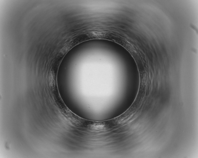 X0000096200651200802011301