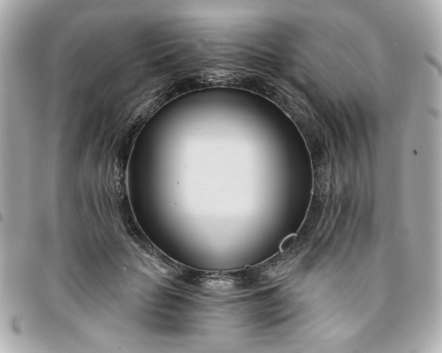 X0000096200653200802011301