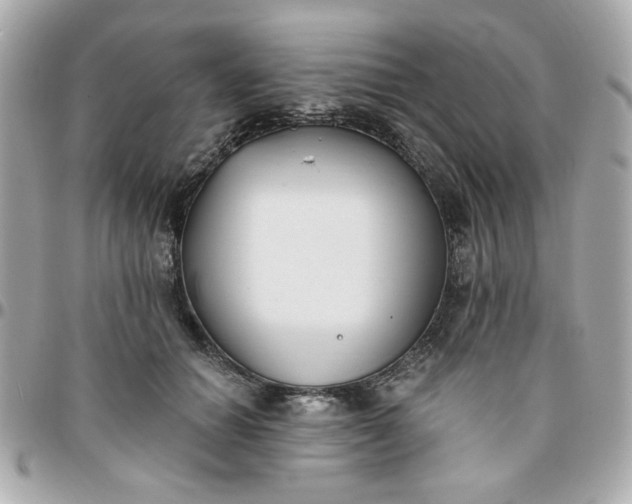 X0000096200654200802011301