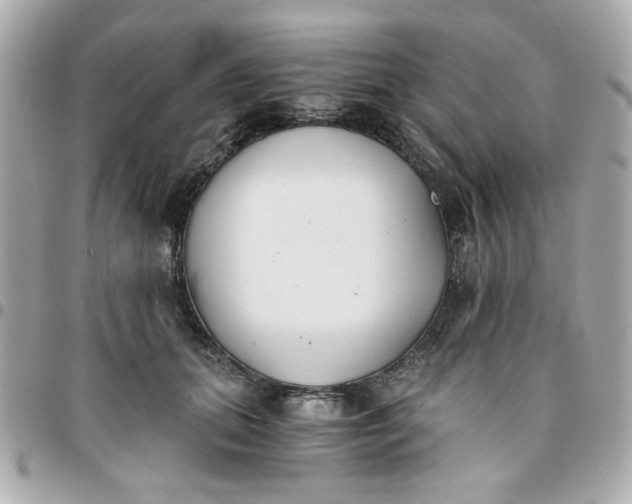 X0000096200655200802011301