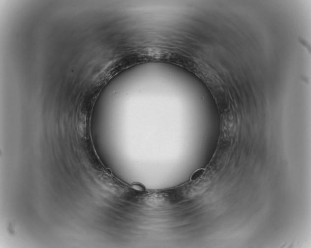 X0000096200656200802011301