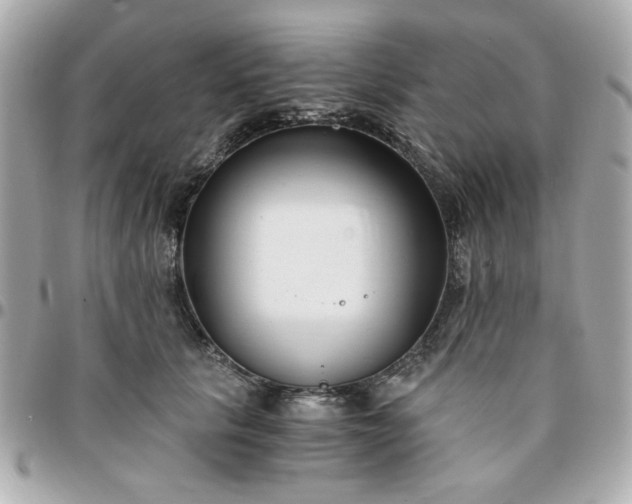 X0000096200657200802011301