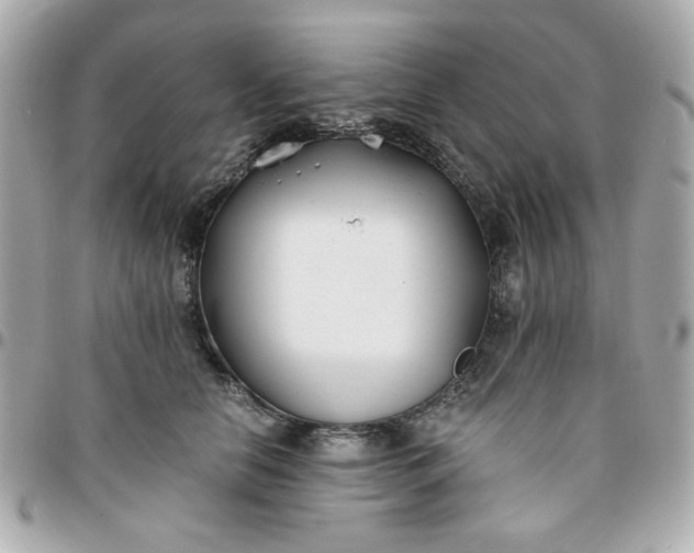 X0000096200658200802011301