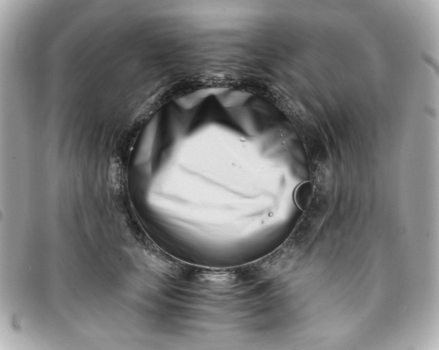 X0000096200659200802011301