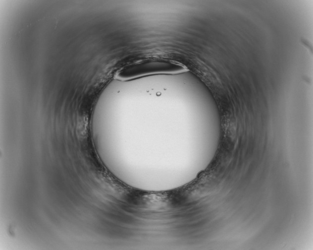 X0000096200660200802011301