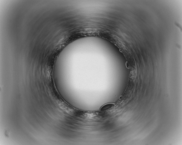 X0000096200662200802011301